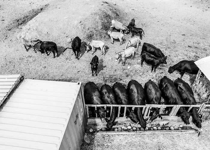 Casa vacanza: Agriturismo Podere Giulio