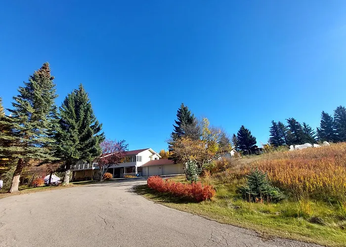 Green Village