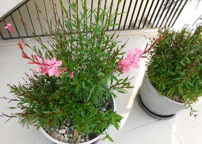 Hotel familiare: Mari House