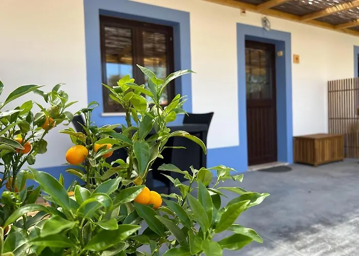 Hotel barato: Quinta Da Boavista