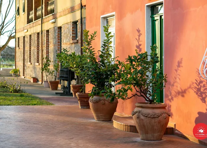  Fattoria Battilana