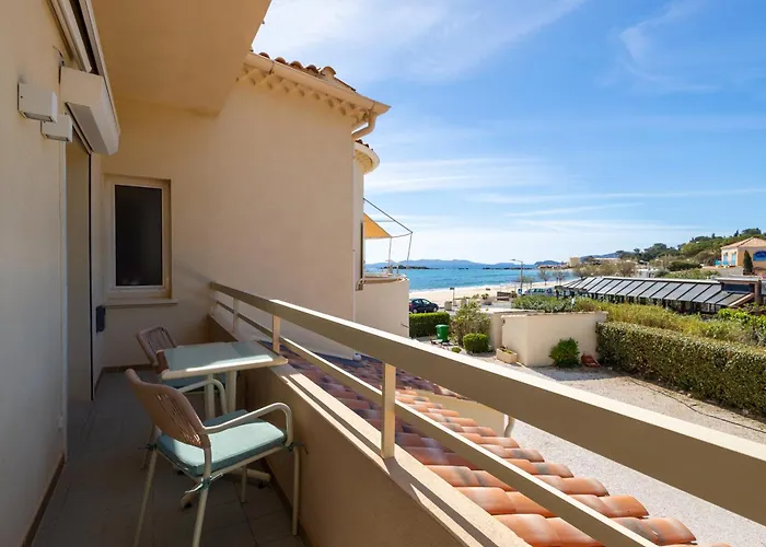 Hôtel accueillant les animaux: Hôtel Méditerranée