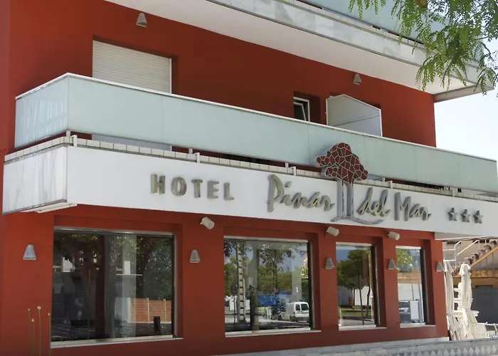 Hotel familiar: Hotel Spa Pinar del Mar
