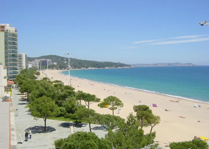 Hotel con vistas: Hotel Aromar