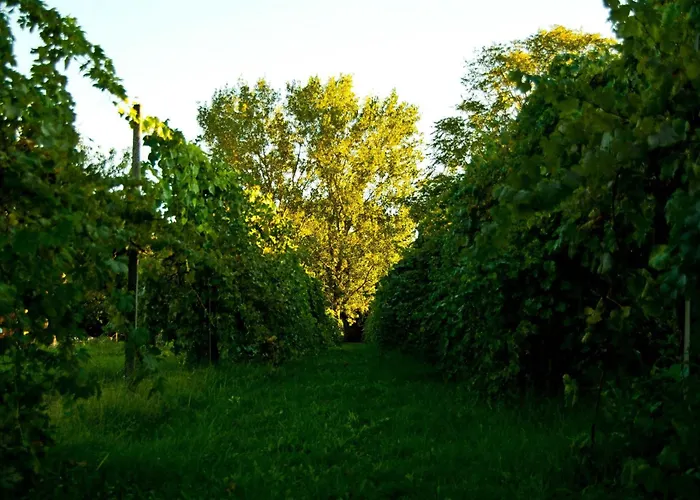 Casa vacanza: Principessa Pio