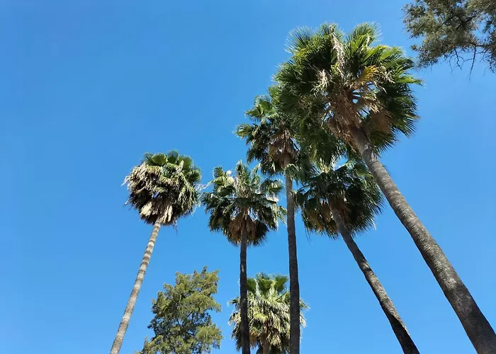 Vas Ciudad