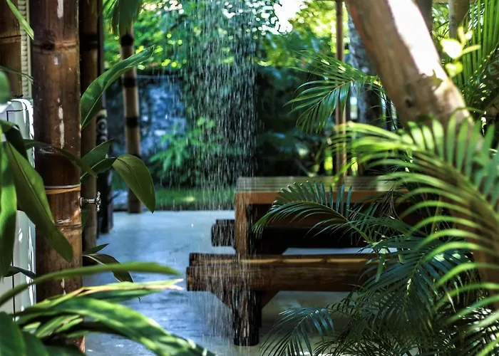 Alebahli Hostel Ilhabela ᵇʸ ᴬᴸᴱᴮᴬᴴᴸᴵ