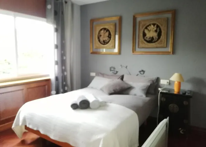 Hotel que admite mascotas: Habitacion En Casa De Marisa Y Juan