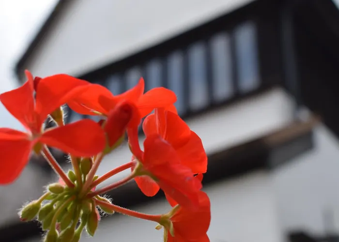 Alma & Dining Rooms