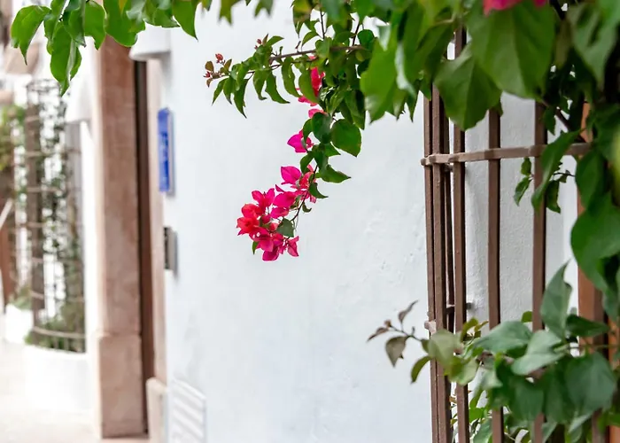 Hotel boutique: Maison Salva By Santas Hotels