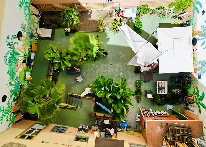 Hostel: Jungle House