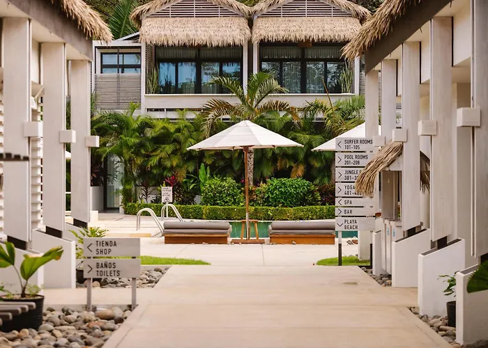 Hotels With Four Stars Gilded Iguana