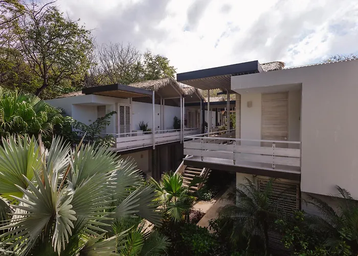 Hotels With Four Stars Gilded Iguana