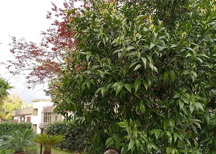 Hotel familiare: B&B Casa di Toto