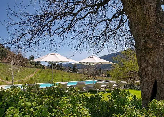 Hotel suites Mont Rochelle And Vineyard