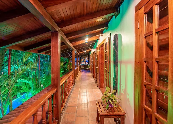 Pets Allowed Hotel Villas Lirio