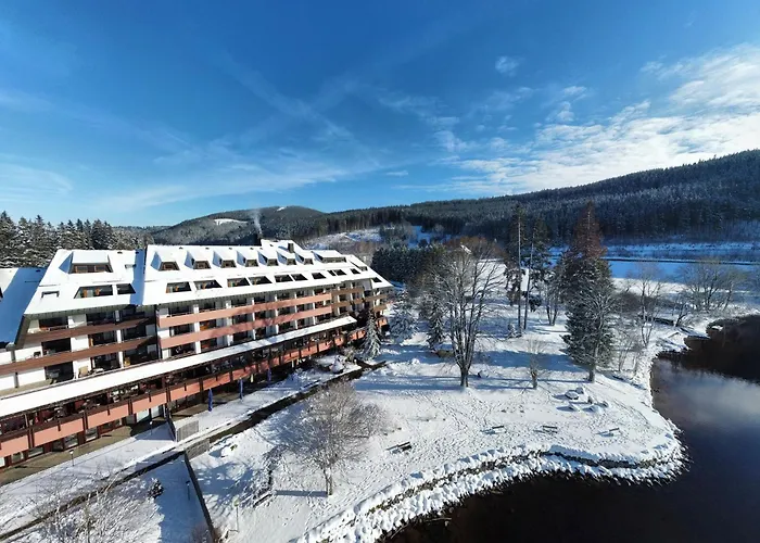 Huisdiervriendelijk hotel: Maritim Titisee Hotel