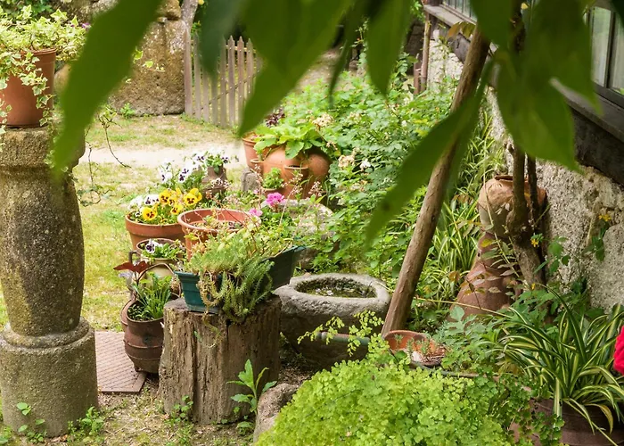 Da Quinta Lavoura Da Bouça - Fruta Bio