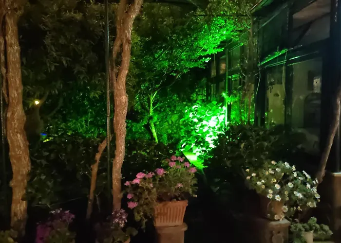 Dei Fiori