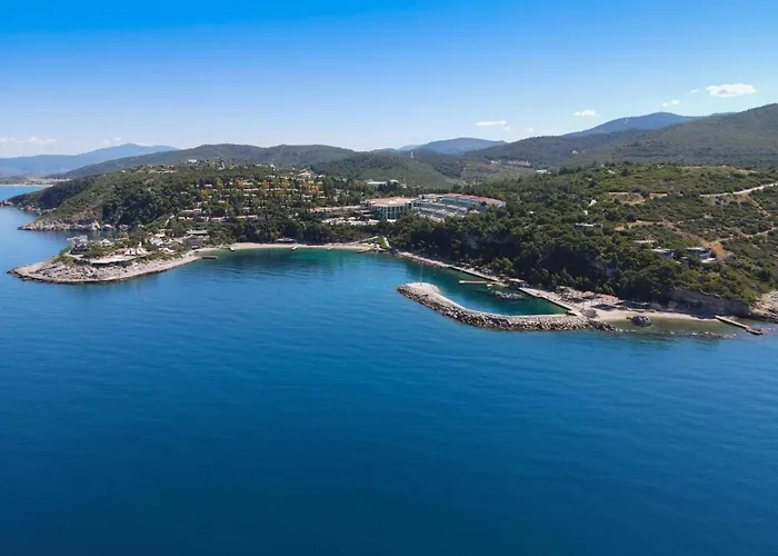 Pine Bay Holiday