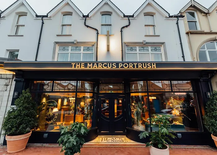 Marcus Portrush, Tapestry Collection By Hilton