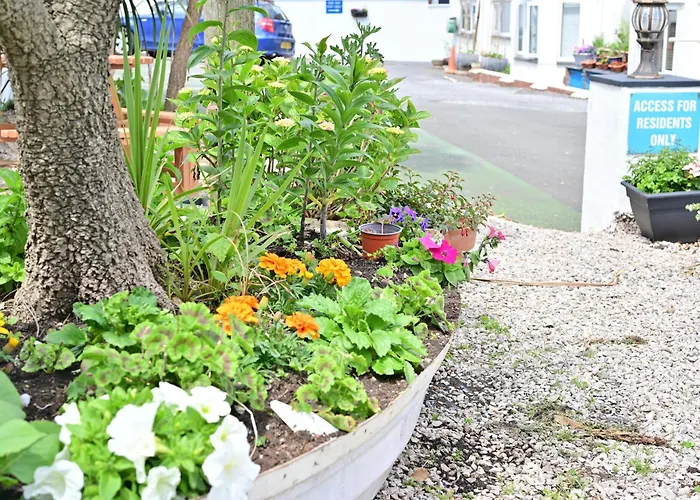 Guest house: Lyme Bay House