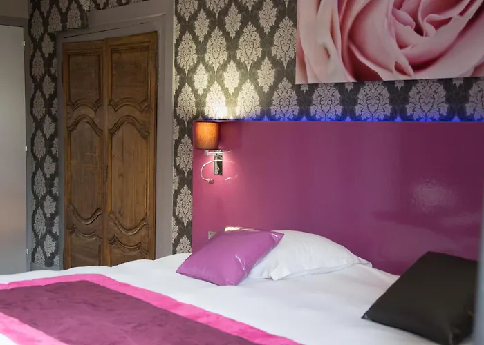 Hôtel accueillant les animaux: Hotel Le Turenne