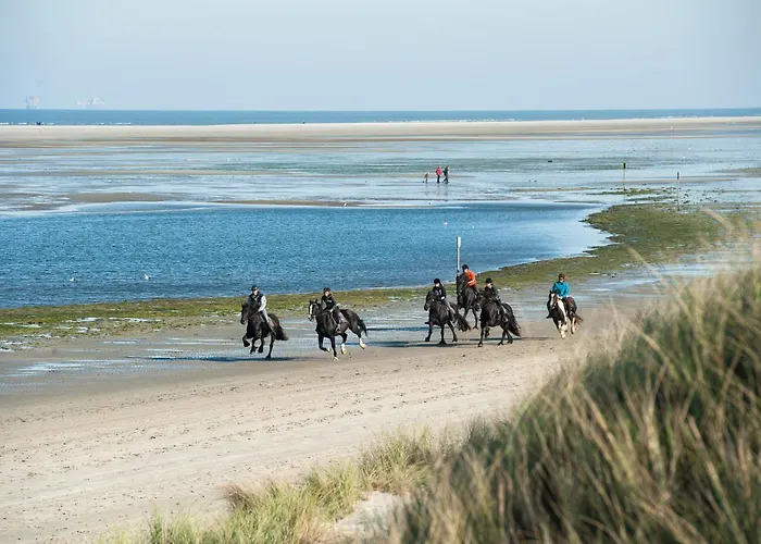 Breeze Ameland