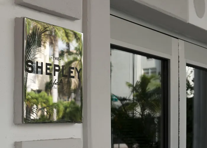 Shepley South Beach