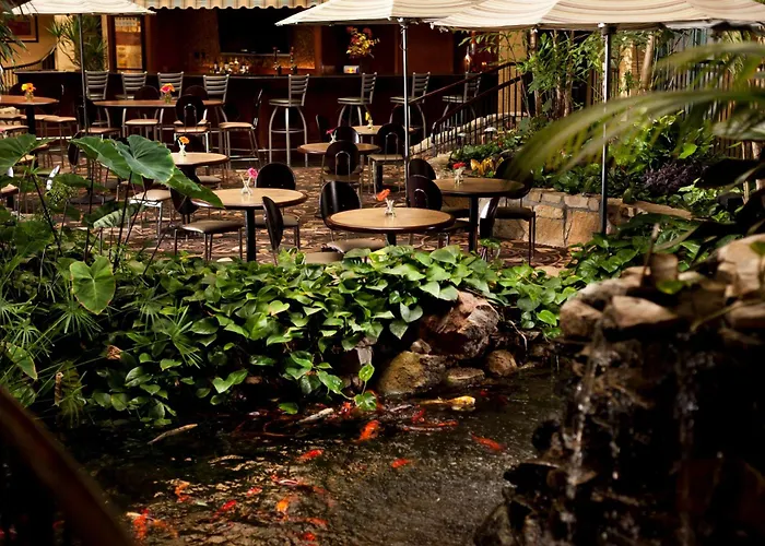 Hotel with view: Embassy Suites Lubbock