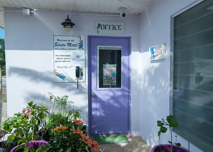 Huisdiervriendelijk hotel: Siesta Motel