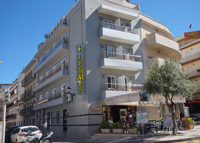 Hotel que admite mascotas: Hotel Hermes