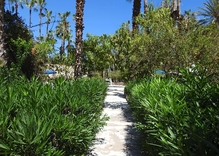 4 star hotel: Hotel Oasis