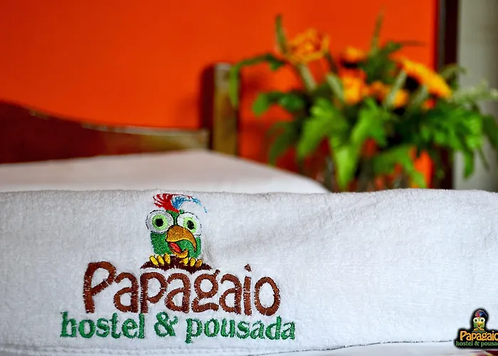 Papagaio Hostel&Pousada