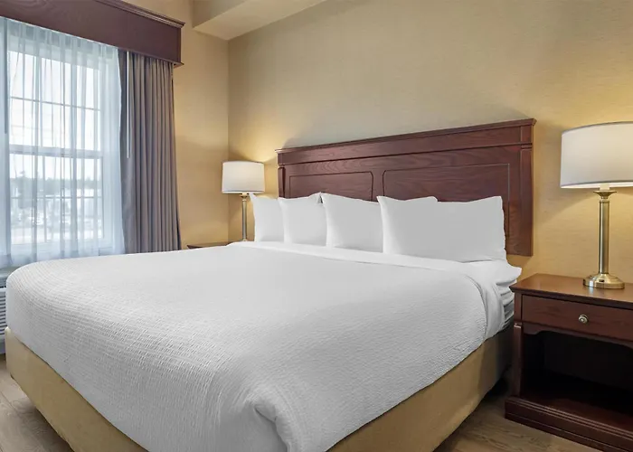 Best Western Plus Fredericton & Suites