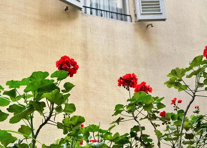 Hotel Cestelli
