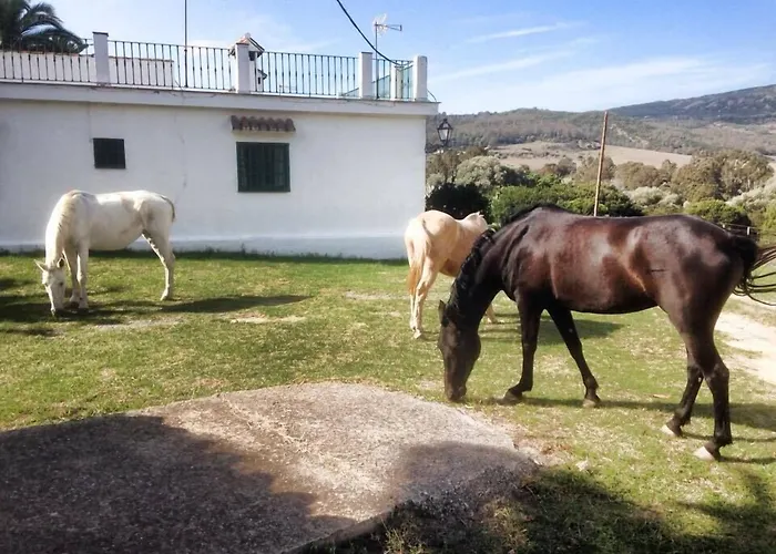 Hotel-Apart Cortijo Las Pinas