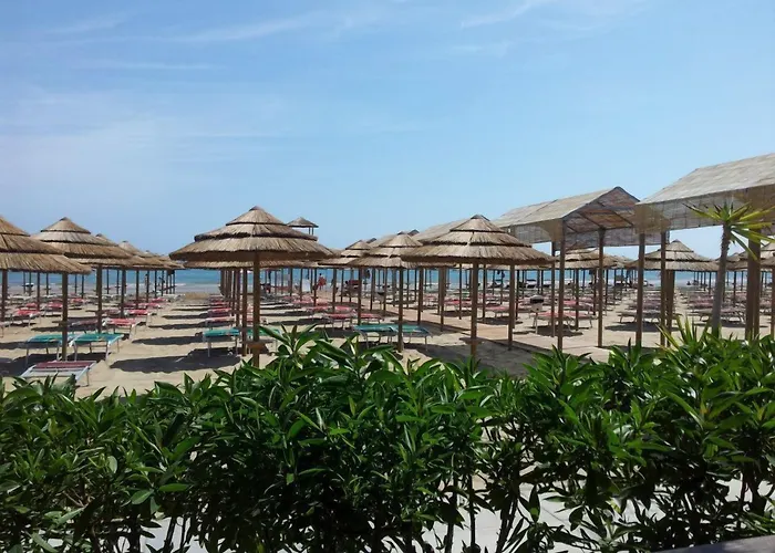  Club Bellavista