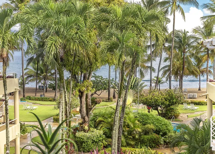 Palm Beach Condos