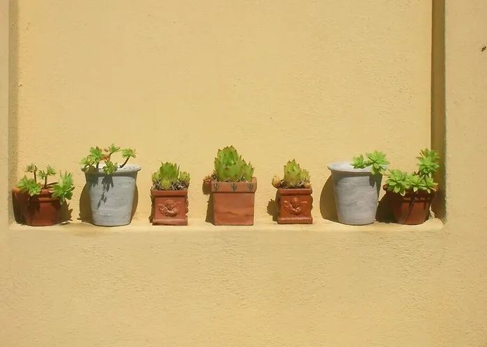 Hotel familiare: Villa Mustafà