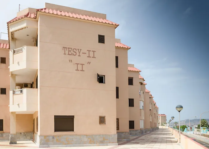  Tesy