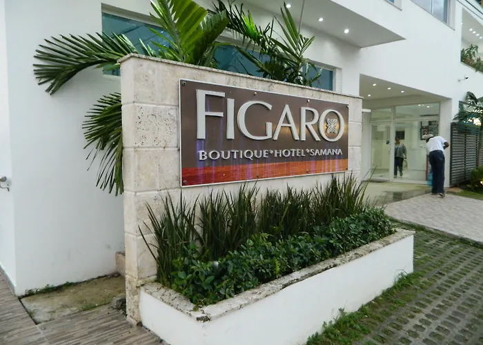  Figaro