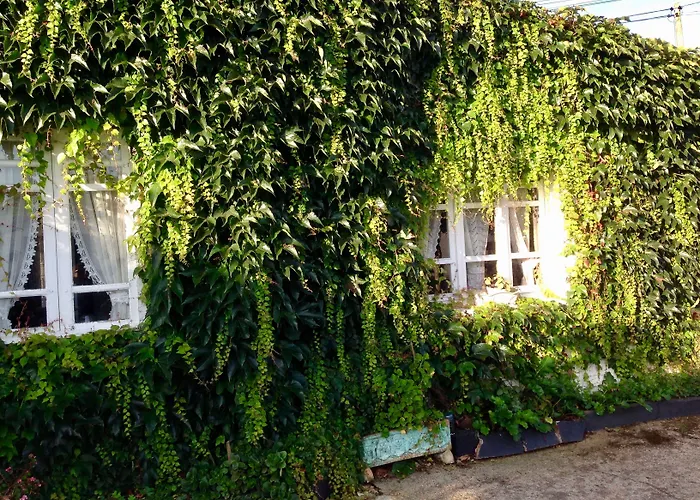 Alquiler de vacaciones: Casa Lourido