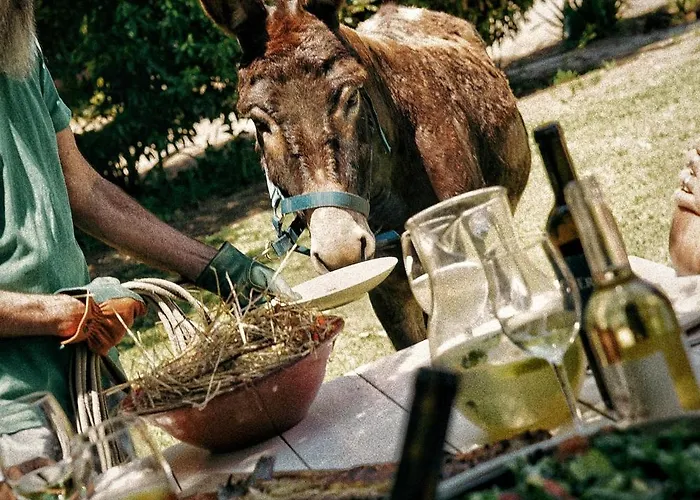 Cabine: Cabra - Porto Covo