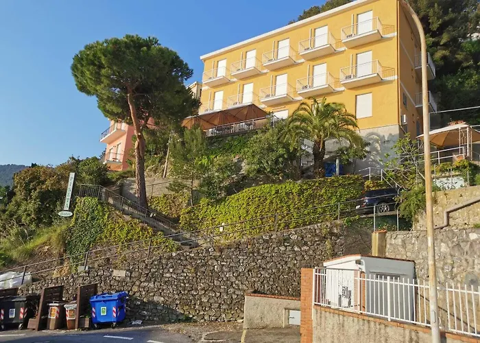 Albergo economico: Hotel Pineta