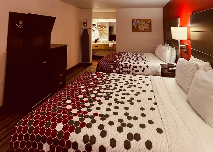 Resort: Econo Lodge Inn & Suites Downtown San Antonio
