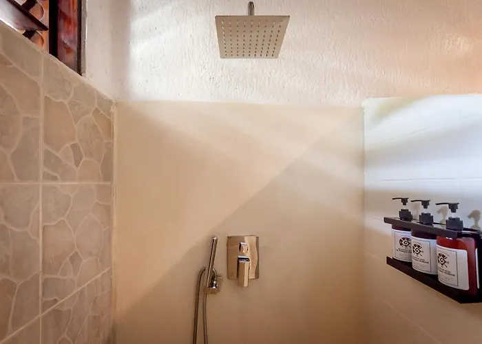 Hotel: Beachfront Hotel La Palapa - Adults Only