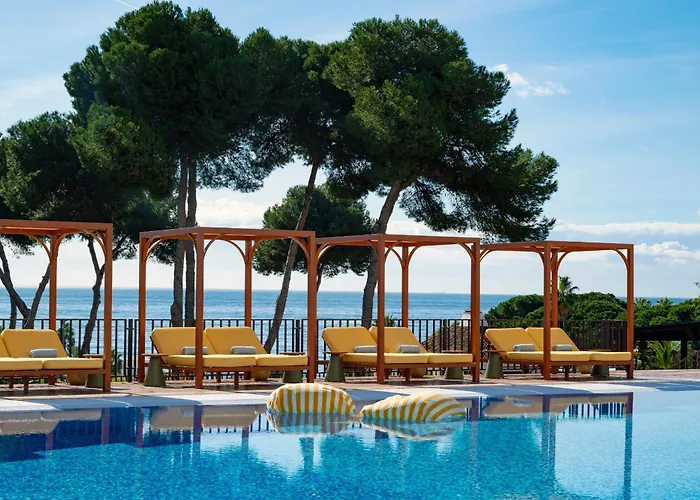 Pet Friendly hotel: Don Carlos Marbella