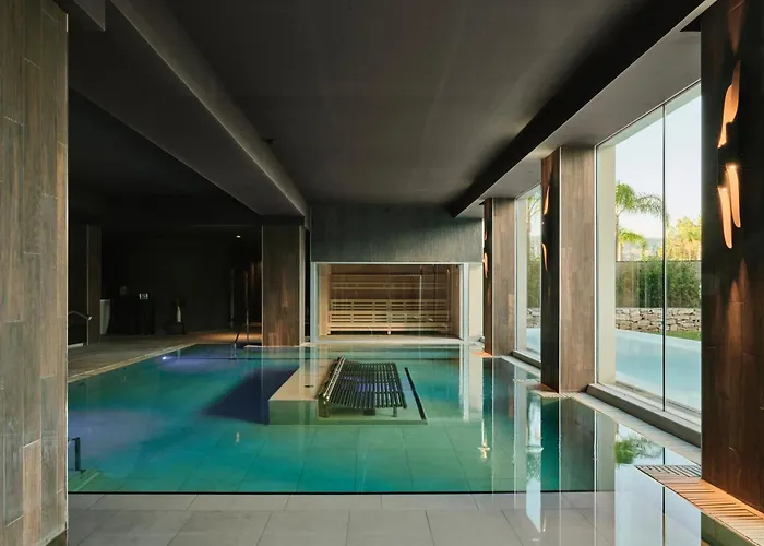 Pet Friendly hotel: Don Carlos Marbella