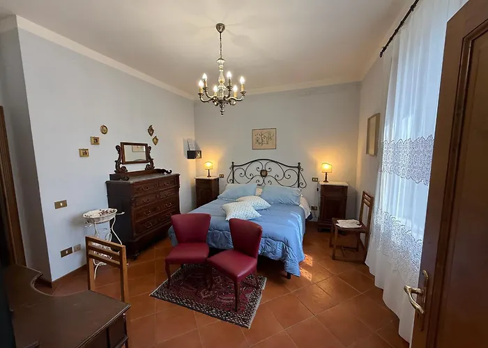 Il Pettirosso Di